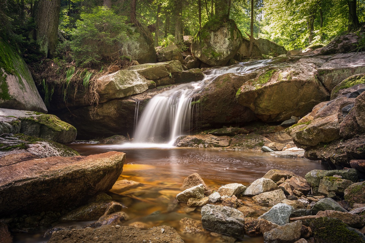 Kleiner Wasserfall in einem Wald
