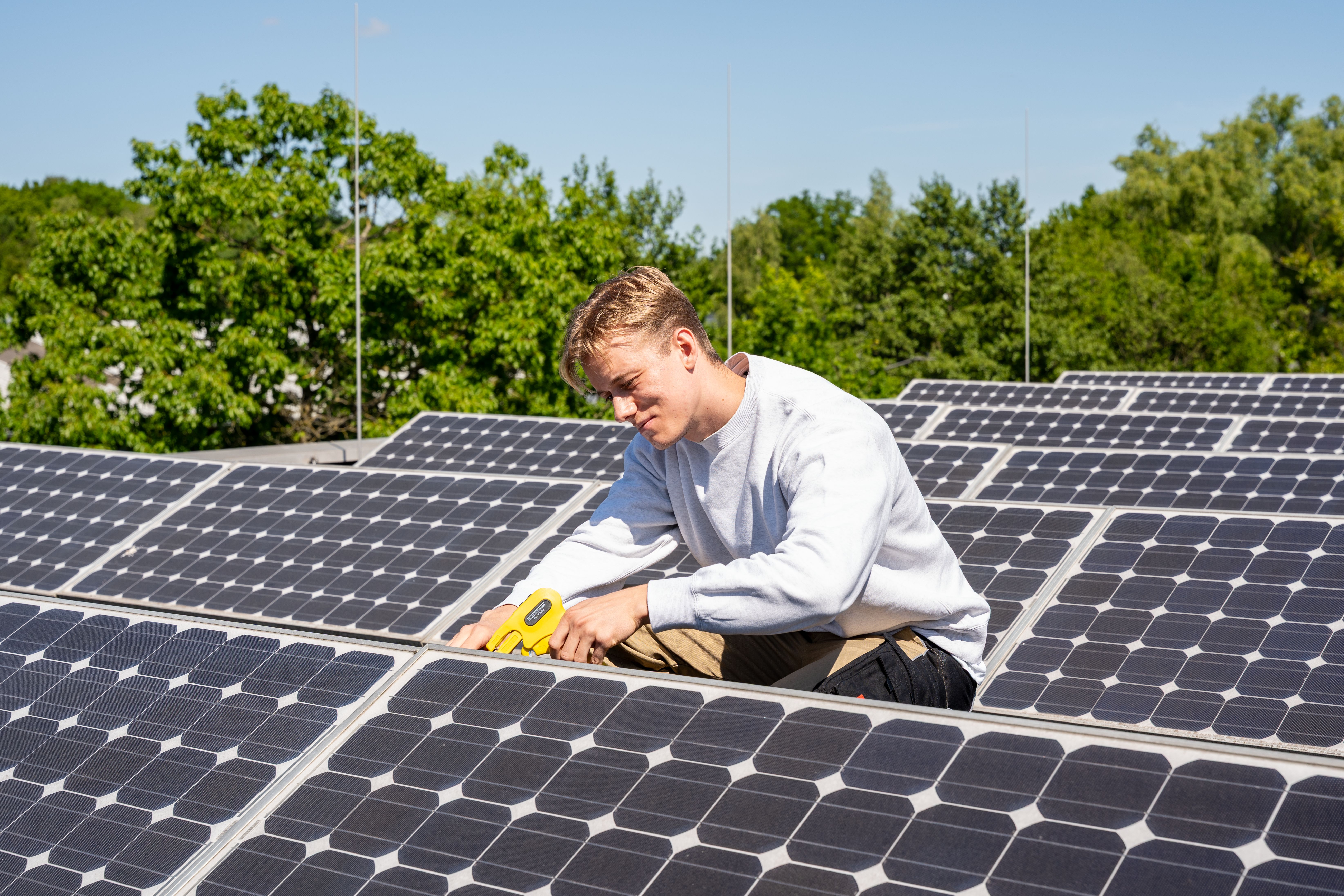 Animated markings image Animated markings image