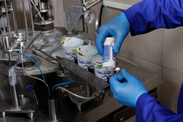 yogurt, cups, dairy, production, industrial
