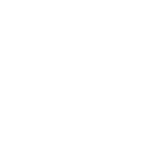 WEICOINS Produktbild