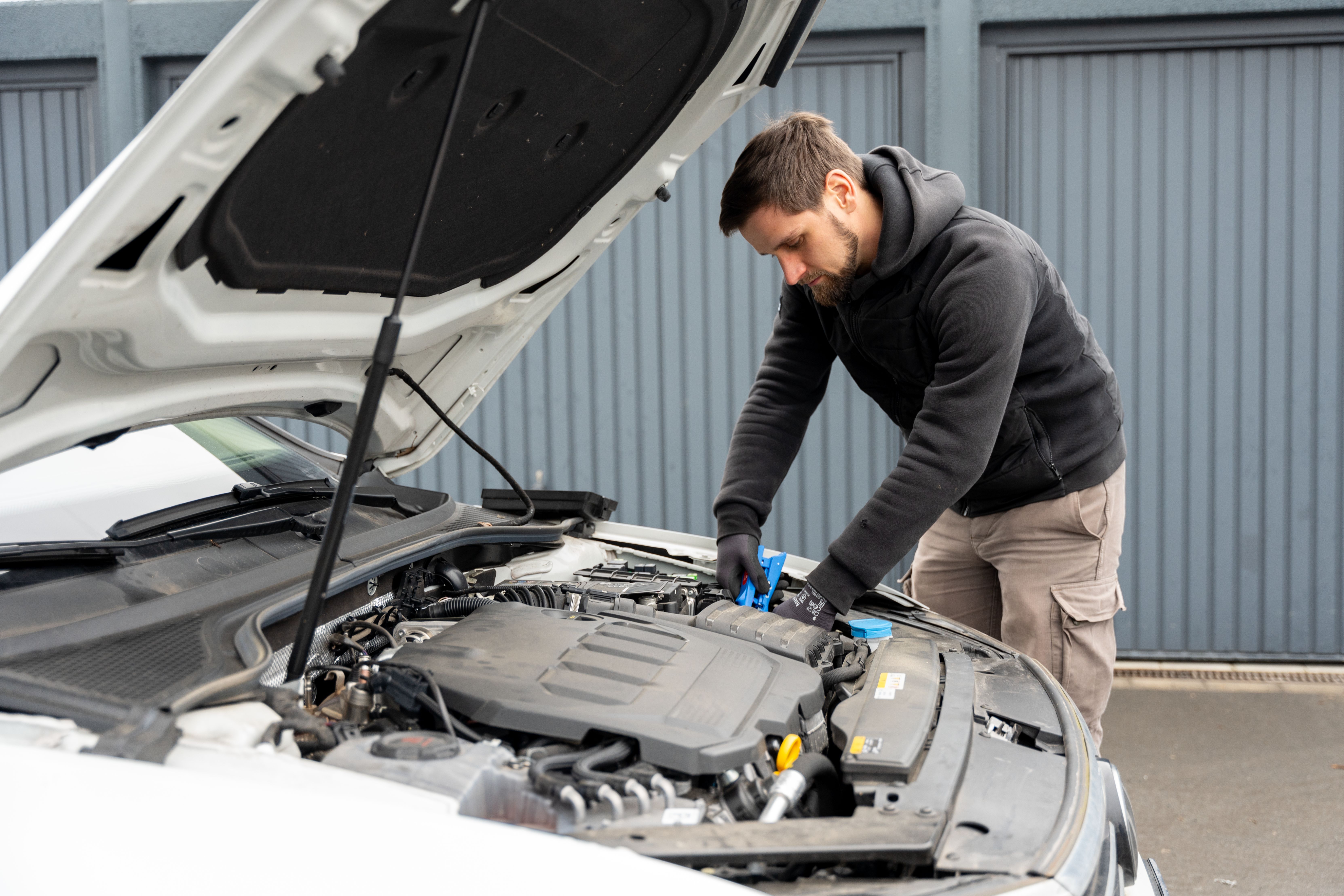 Animated markings image Animated markings image