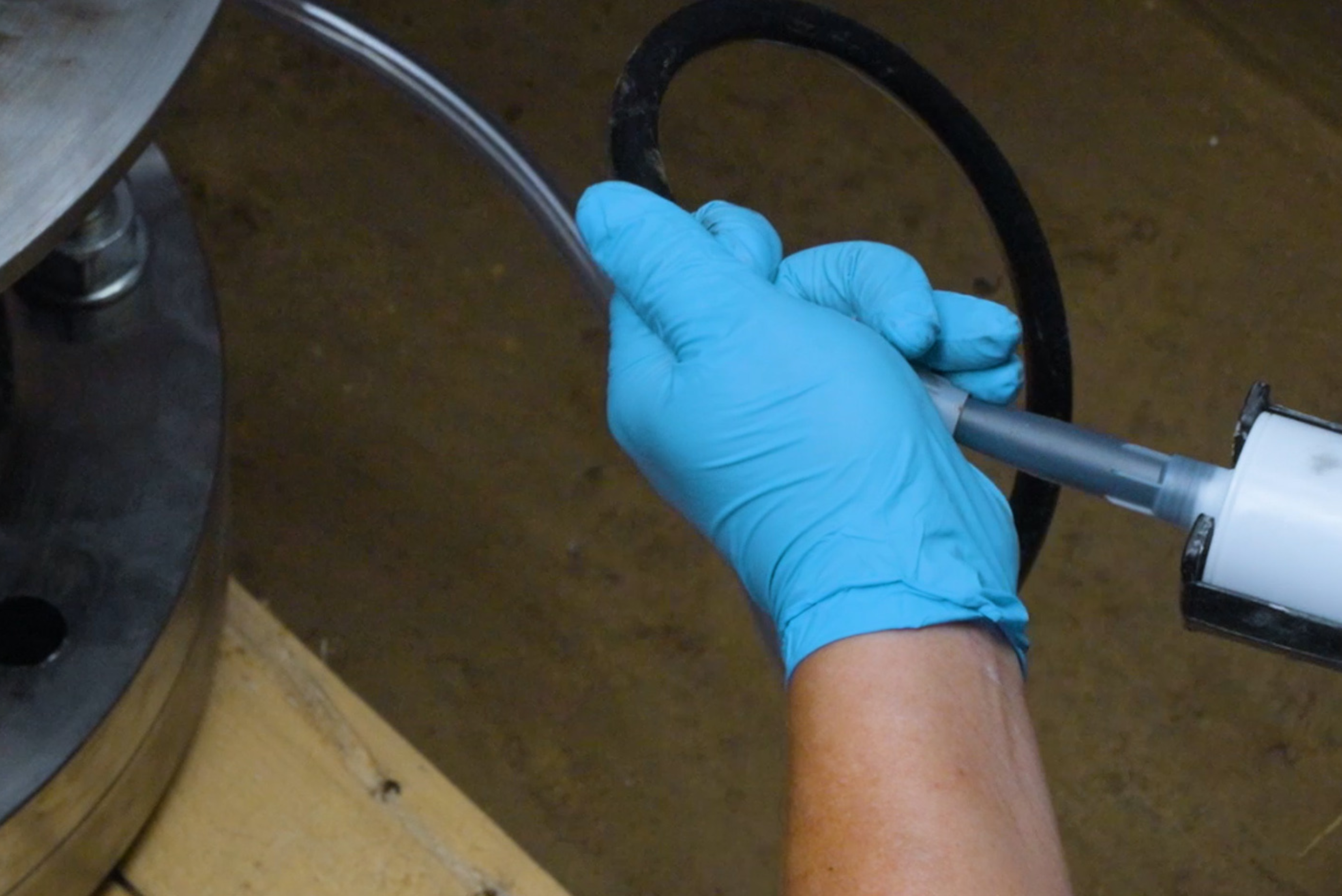 gloves, blue, gloved-hand, handheld-tool, laboratory