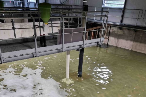 milking stall, cattle barn, concrete floor, water pool, metal railing