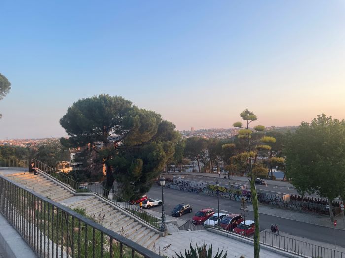Urban landscape, City view, Stone staircase, Pine trees, Sunset sky