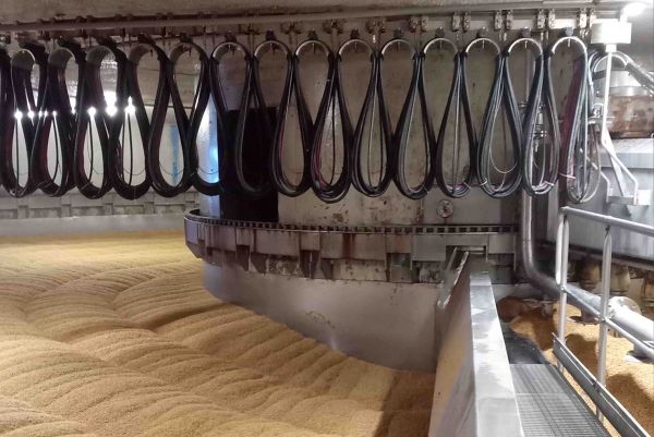grain, storage hopper, conveyor, industrial machinery, dusty environment